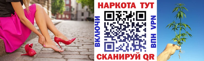 Альфа ПВП Теберда