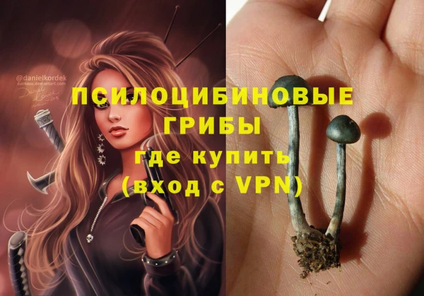 PSILOCYBIN Армянск