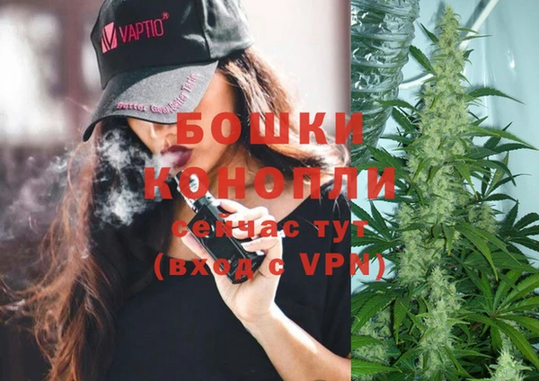 молекула духа Вяземский