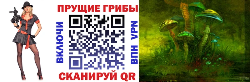 Галлюциногенные грибы Cubensis  мега как войти  Теберда 